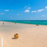 SEA AIR TOWER 1511 10